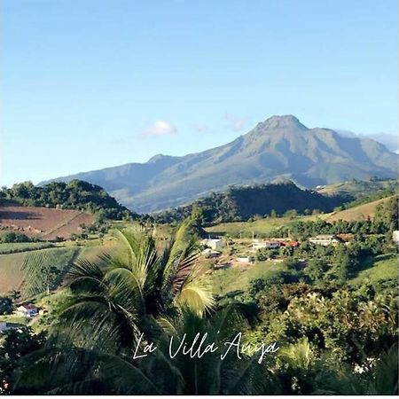 Villa Auya Entre Mer Et Montagne Le Carbet Bagian luar foto