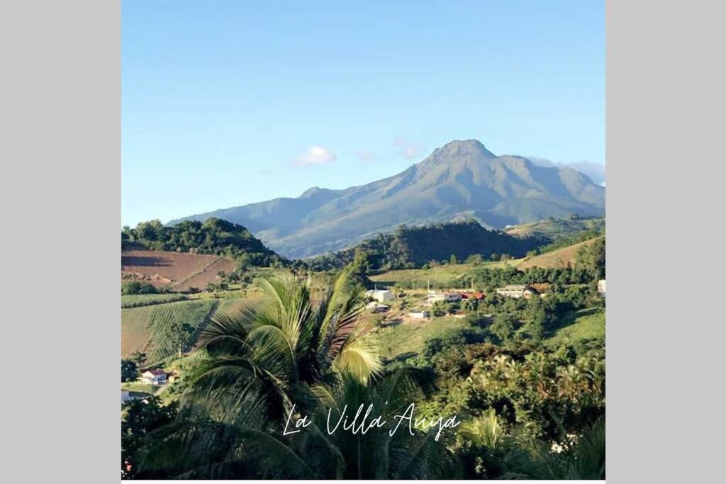 Villa Auya Entre Mer Et Montagne Le Carbet Bagian luar foto